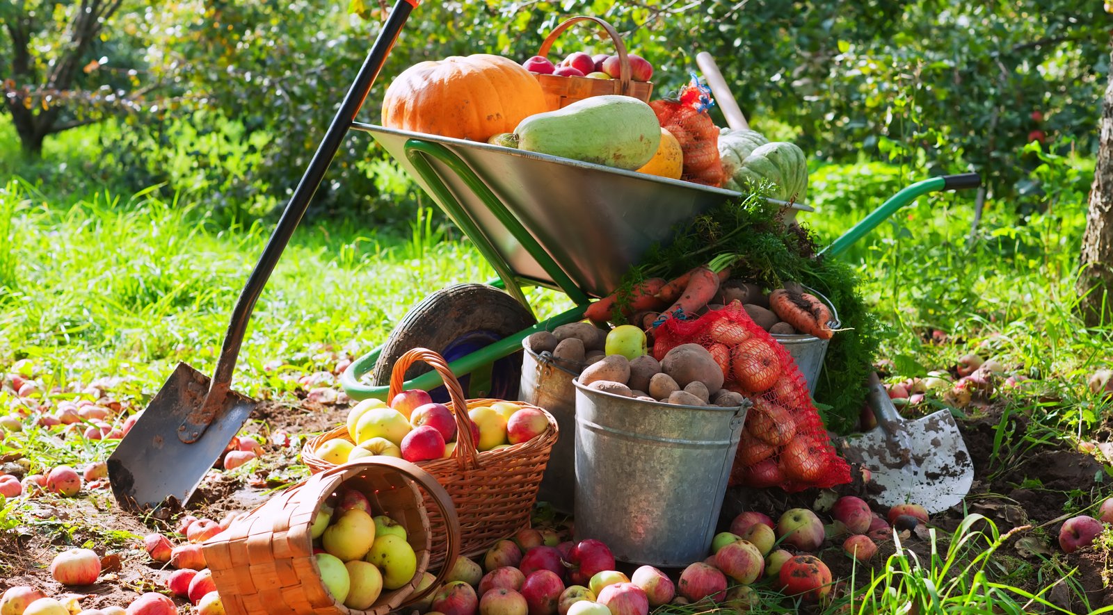 Agriculture and Food