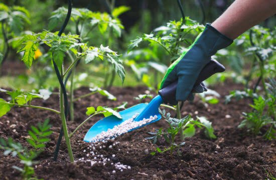 Fertilizers and Agricultural Additives